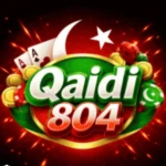 Qaidi 804 Game