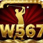 W567 Game