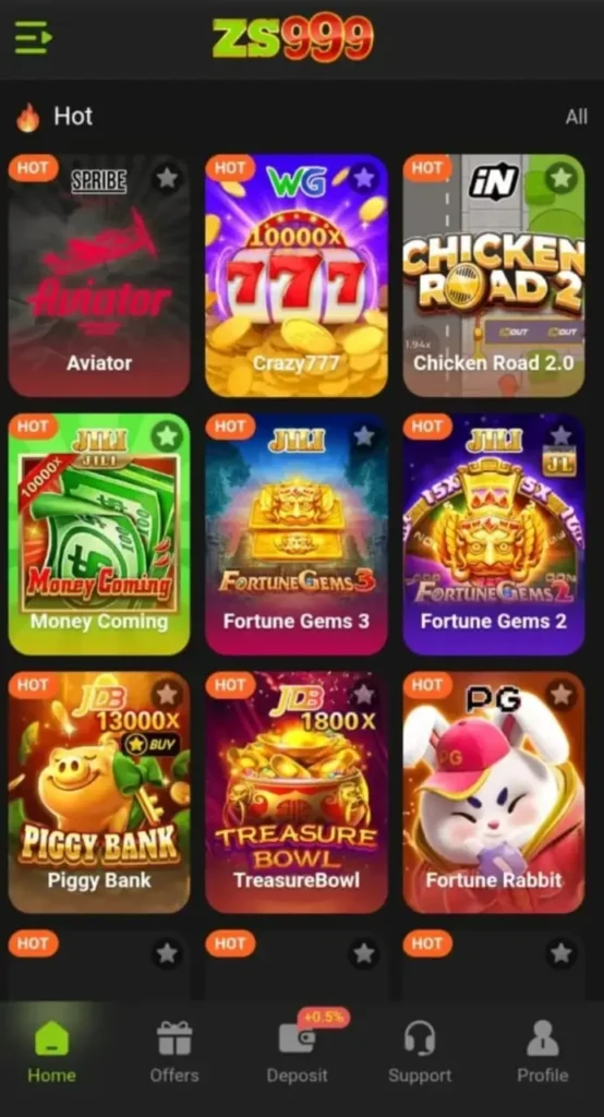 ZS999 Game