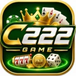C222 Game