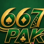 667PAK Game