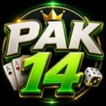 Pak14 Game