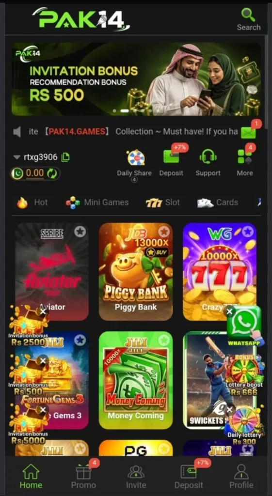 Pak14 Game