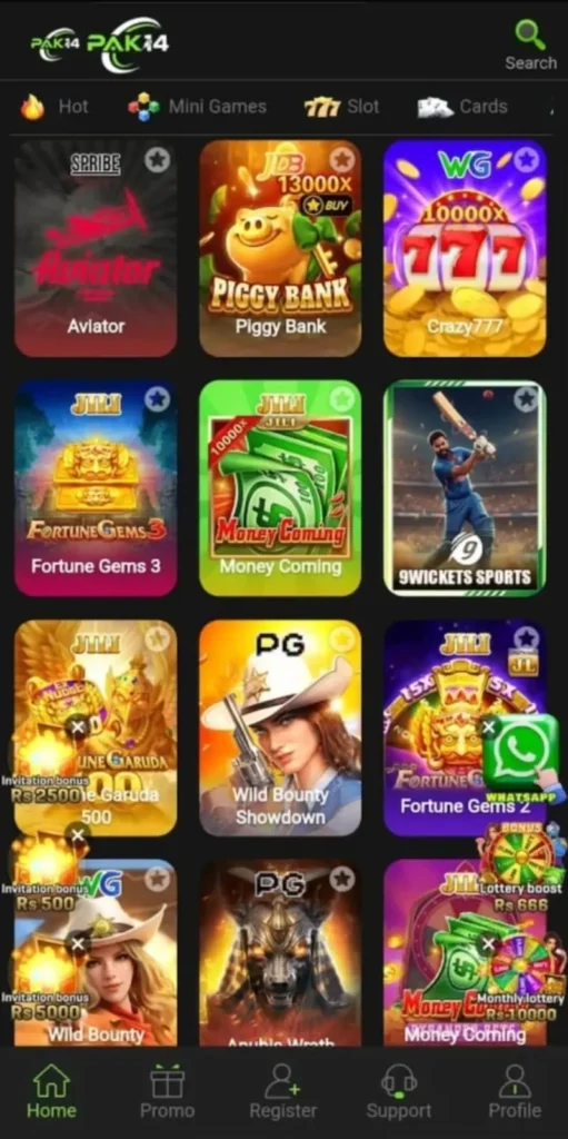 Pak14 Game